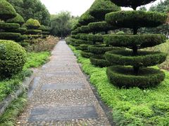 -洛阳市隋唐城遗址植物园