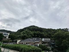-龙井村