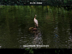 -广州兰圃