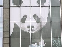 -成都大熊猫繁育研究基地