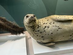 -国家自然博物馆