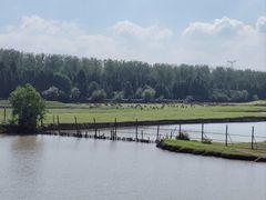 -溱湖国家湿地公园