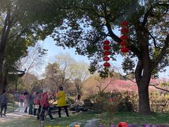 -无锡梅园公园