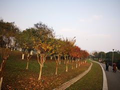 -梁鸿国家湿地公园