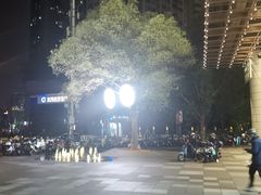 -瑞虹新天地月亮湾