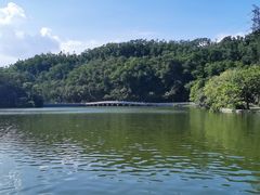 -深圳仙湖植物园