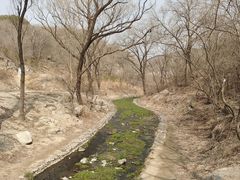 -白水寺森林公园