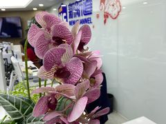 -新航道雅思托福·留学·考研培训(人民广场校区)