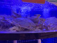 -七欣天香辣蟹火锅(闵行浦江欢乐颂店)