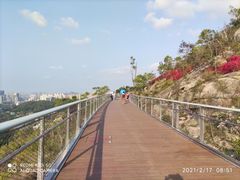 -板樟山森林公园