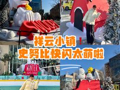-中粮·祥云小镇