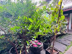 -院子餐厅·大锅菜·老杭帮(桥西直街店)