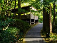 -三千院
