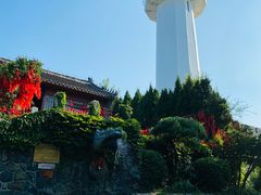 -烟台山景区