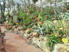 -国家植物园南园