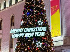 -Olive Young(明洞旗舰店)