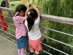 -前小桔亲子创意农场·草莓采摘·露营烧烤