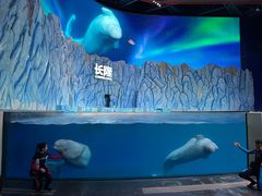 -长隆海洋王国-海洋大街餐厅
