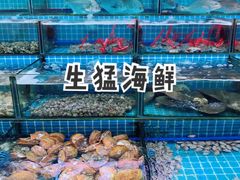 -红月湾海鲜饭店•沙滩海景(双月湾店)