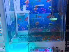 -汤姆熊欢乐世界(滨江店)