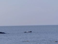 -海岛日记(养马岛店)