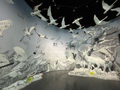 -中国湿地博物馆