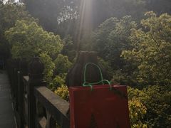 -南山植物园