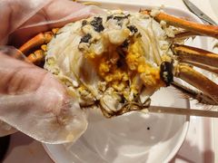 -杨氏青龙虾·羊蝎子(托乐嘉店)