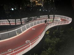-金鸡山公园
