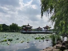 -长春市南湖公园