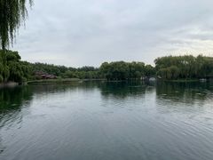 -百脉泉景区
