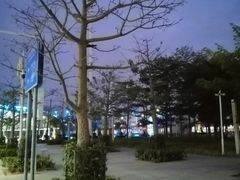 -深圳坪山站