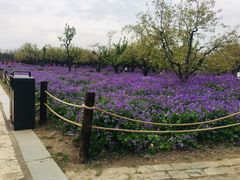 -江苏三台山国家森林公园