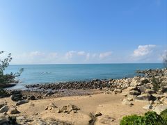 -广东惠东海龟国家级自然保护区