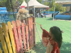 -萌宠亲子动物乐园(槐房万达店)