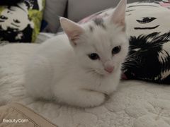 -宠颐生中康贝怡动物医院