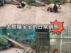 -杭州动物园