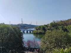-重庆园博园