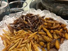 -野菌皇海景野生菌火锅(滨海大道店)