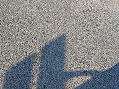 -春花秋色城市公园