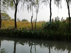 -西溪国家湿地公园