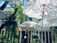 -Fern Forest Cafe