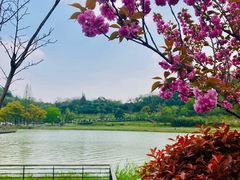 -南北湖风景区