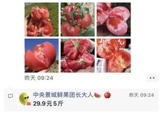 -鲜果壹号(中央景城店)