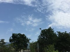 -秦始皇帝陵博物院-丽山园