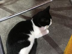 -顺德哥卜卜贝(旗舰店)