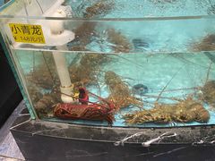 -食鼎记海鲜大排档(美食街店)