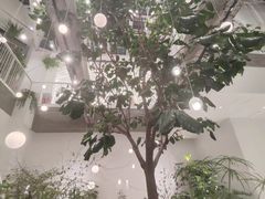 -大树餐厅(红旗街万达店)