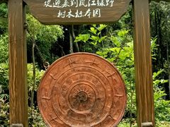 -南宁良凤江国家森林公园