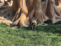 -辛玛王国游乐园